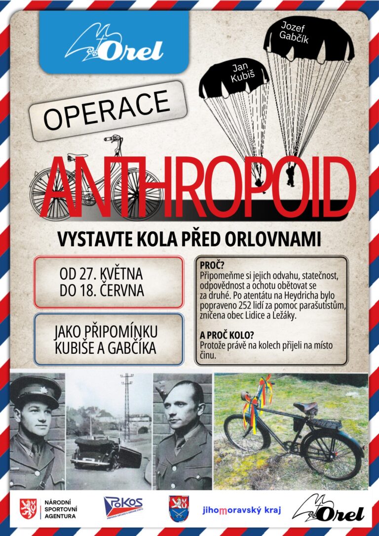 Anthropoid